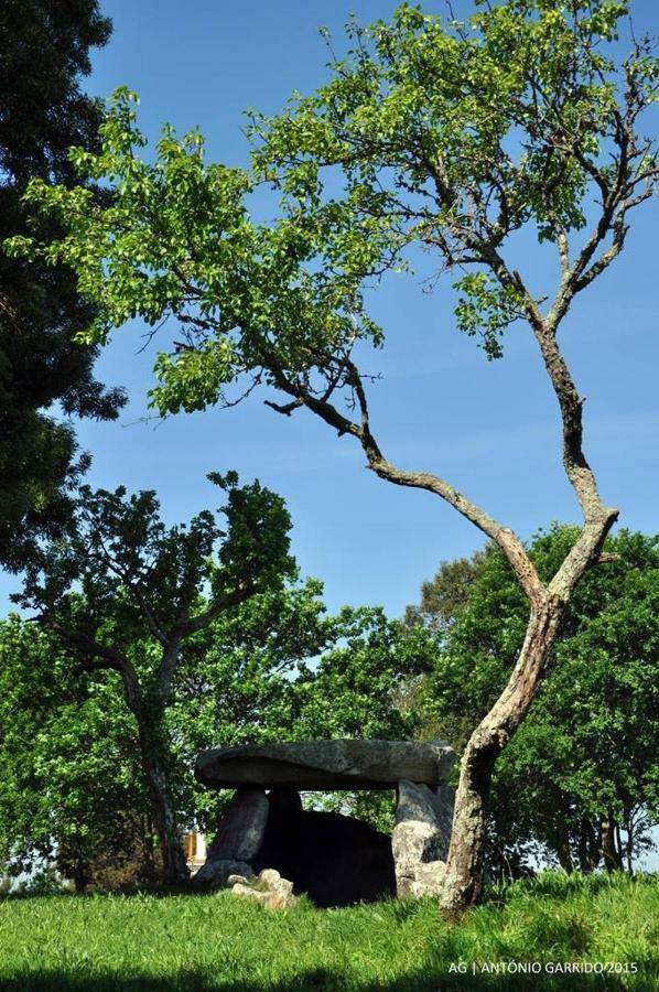Angelas - Casa Da Eira Vila Praia de Âncora Kültér fotó